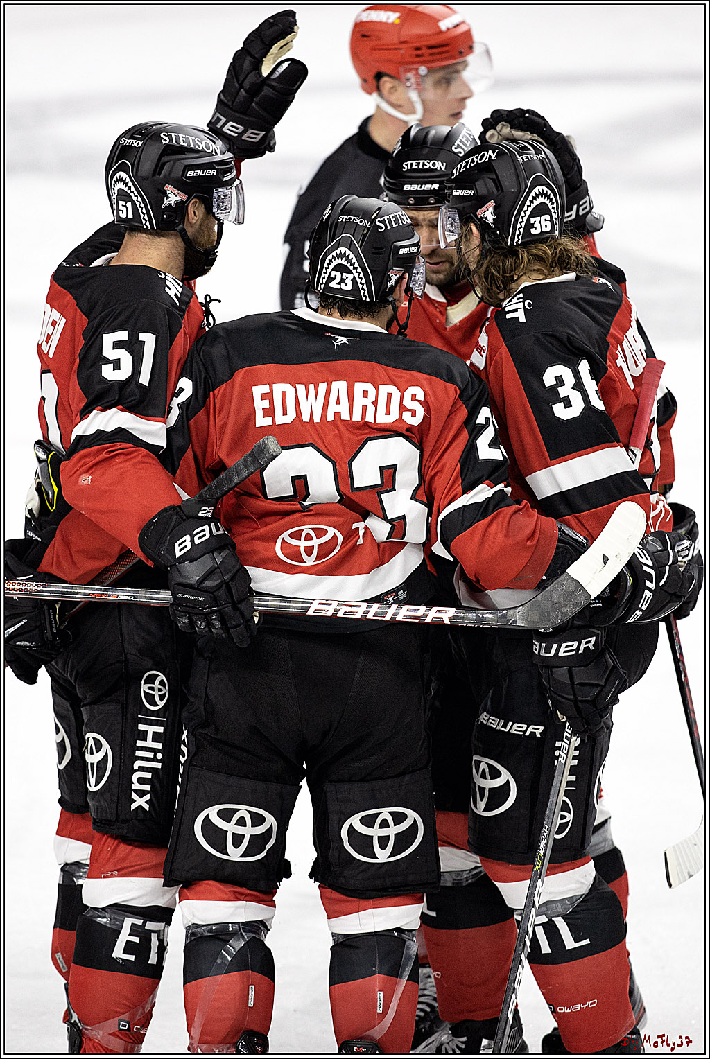 PENNY DEL;  Koelner Haie - Bietigheim Steelers; Koeln, 19.11.2021